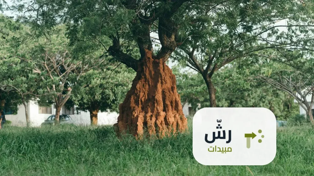 طريقة رش مبيد النمل الابيض