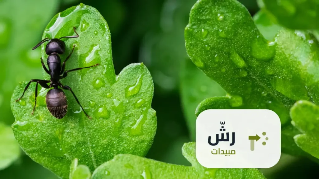 أضرار رش المبيدات الحشرية