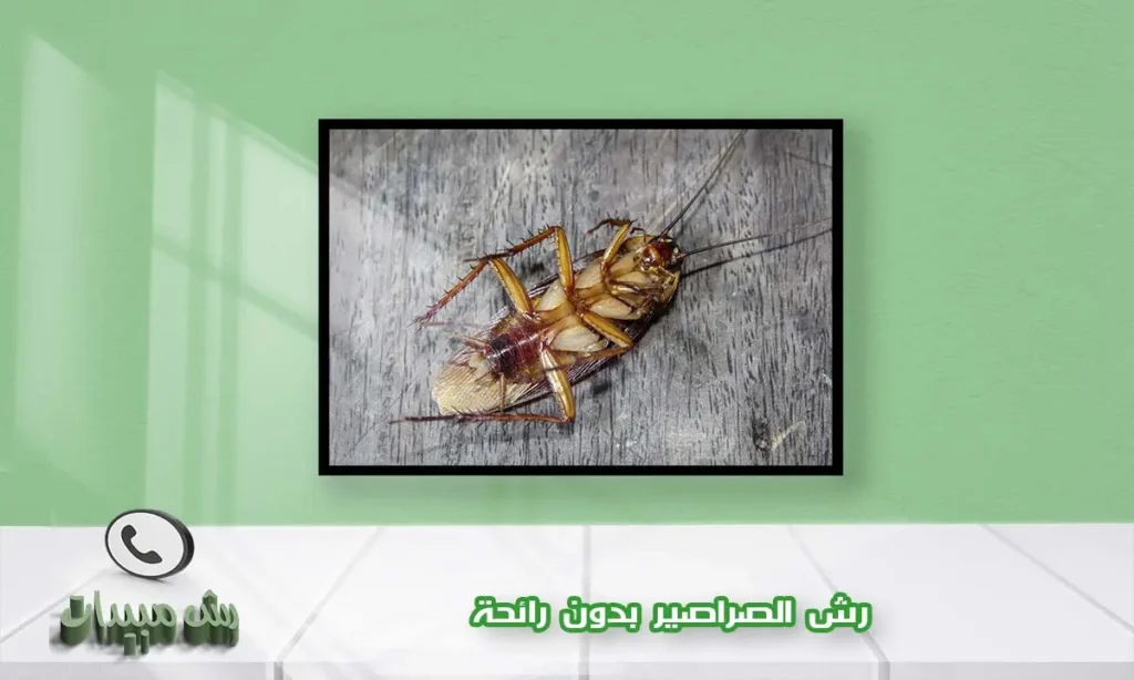 رش الصراصير بدون رائحة