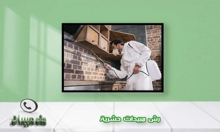 رش مبيدات حشرية