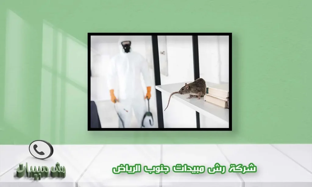 شركة رش مبيدات جنوب الرياض