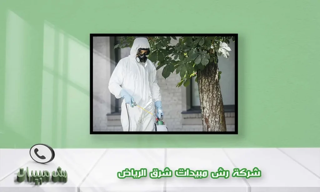 شركة رش مبيدات شرق الرياض