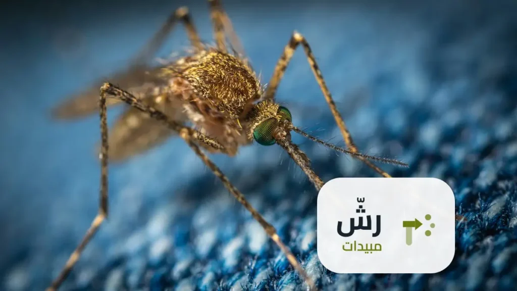 شركة رش مبيدات حي الازدهار الرياض