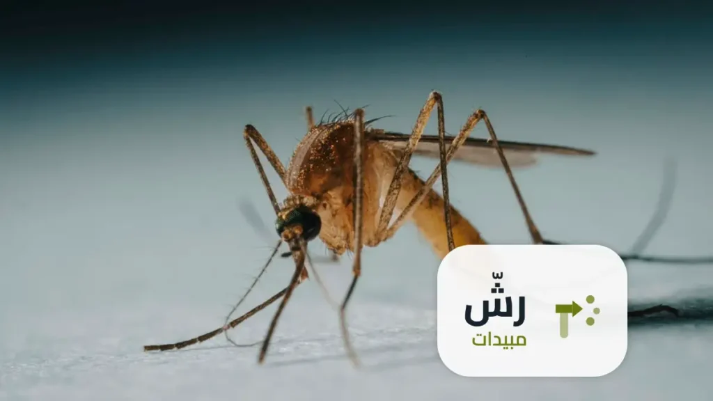 شركة رش مبيدات حي الوادي الرياض